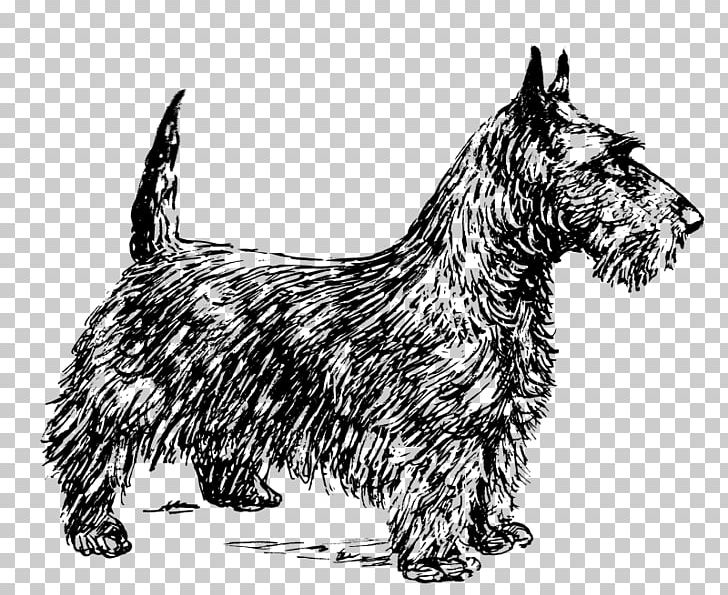 Scottish Terrier Scotland Smooth Fox Terrier Coasters PNG, Clipart, Animals, Basset Hound, Black And White, Cairn Terrier, Carnivoran Free PNG Download