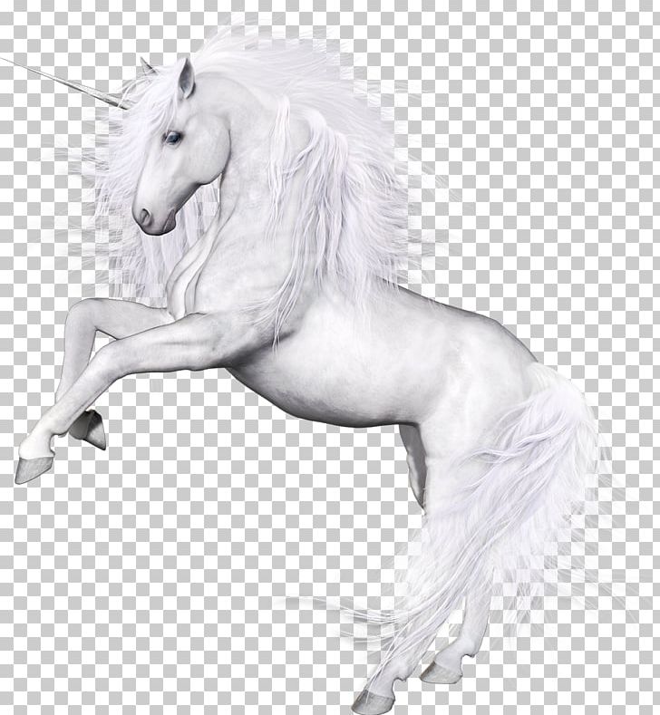 Unicorn Horse Pegasus PNG, Clipart, At Resimleri, Drawing, Encapsulated Postscript, Fantasy, Fictional Character Free PNG Download