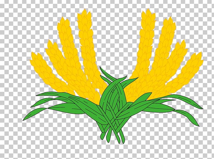 Wheat PNG, Clipart, Adobe Illustrator, Cartoon Wheat, Commodity, Dandelion, Designer Free PNG Download