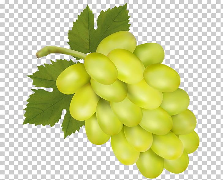 Common Grape Vine Isabella Wine Sultana Concord Grape PNG, Clipart, Common Grape Vine, Concord Grape, Food, Free Content, Fruit Free PNG Download