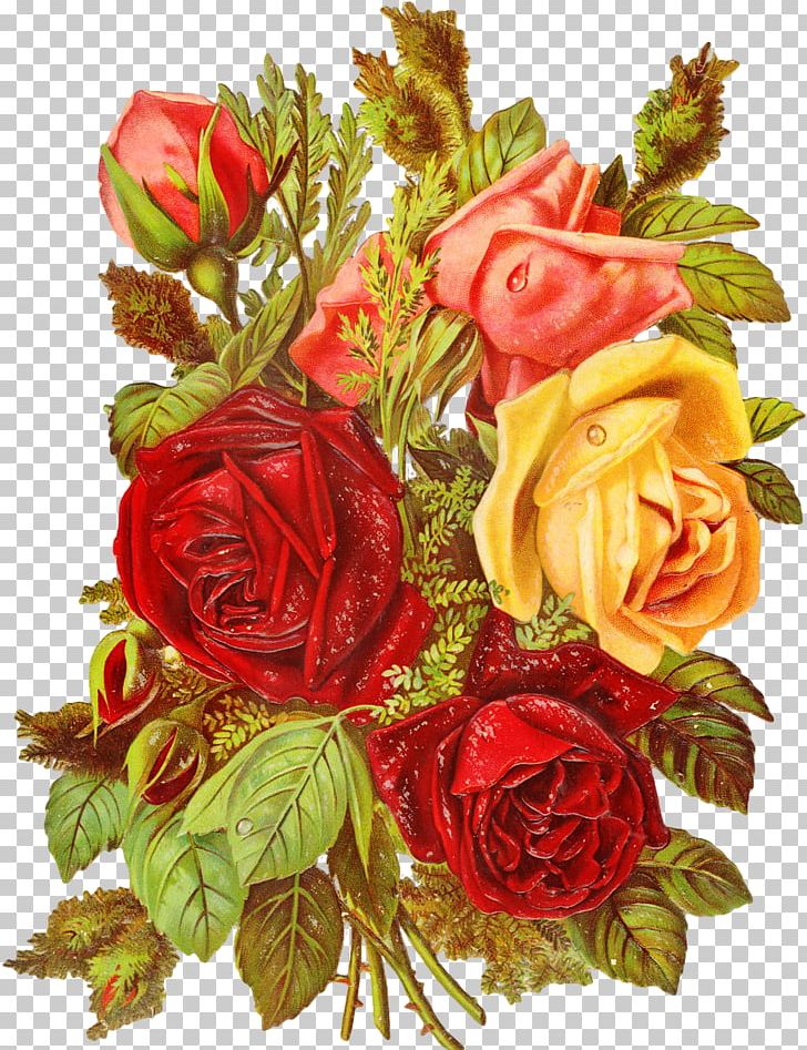 Garden Roses Cabbage Rose Floral Design Cut Flowers PNG, Clipart, Artificial Flower, Black Rose, Cut Flowers, Floral Design, Floristry Free PNG Download