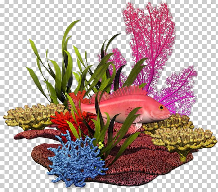 Graphic Design Plant Sea Marine Biology PNG, Clipart, Aquarium Decor, Autumn, Coral, Coral Reef, Cut Flowers Free PNG Download
