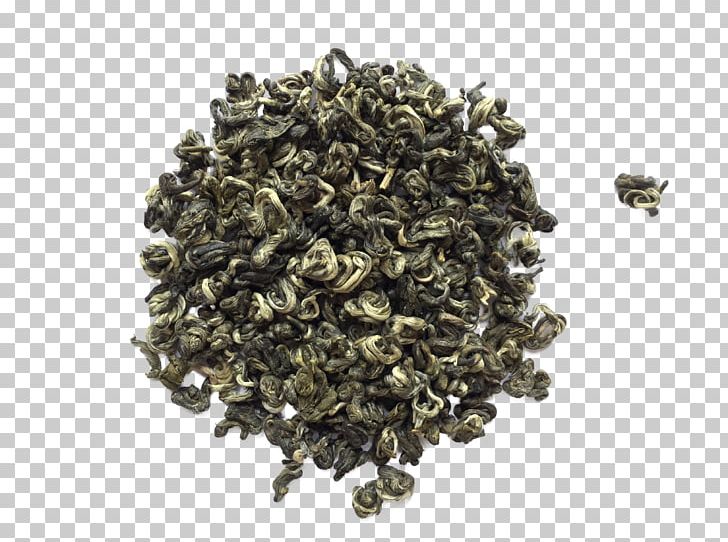 Nilgiri Tea Oolong Tea Plant PNG, Clipart, Assam Tea, Biluochun, Ceylon Tea, Chun Mee Tea, Da Hong Pao Free PNG Download