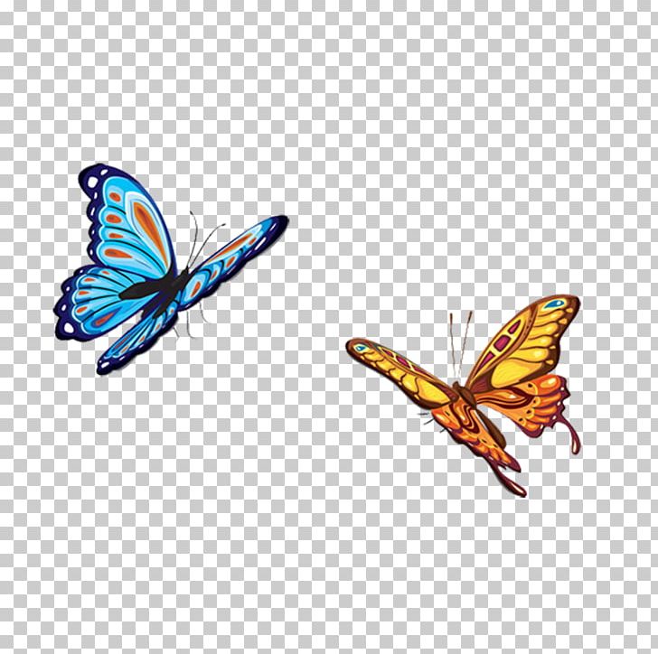 Butterfly PNG, Clipart, Blue Butterfly, Brush Footed Butterfly, Butterflies, Butterfly Group, Flowers Free PNG Download