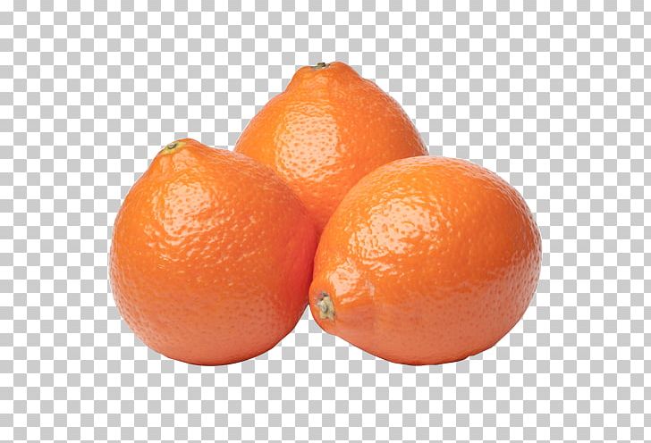 Clementine Tangerine Mandarin Orange Tangelo Grapefruit PNG, Clipart, Bitter Orange, Blood Orange, Citric Acid, Citrus, Clementine Free PNG Download