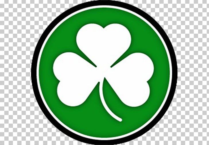 Dublin Coffman High School Pickerington High School North Republican Clipper Shamrock PNG, Clipart, Area, Bethany, Circle, Competition, Dublin Free PNG Download