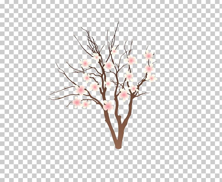 Peach Drawing Cartoon PNG, Clipart, Art, Blossom, Branch, Cartoon, Cherry Blossom Free PNG Download