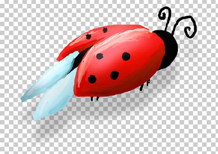 Ladybird Beetle Beruu0161ky PNG, Clipart, Aphid, Beetle, Beruu0161ky, Centerblog, Coccinella Septempunctata Free PNG Download