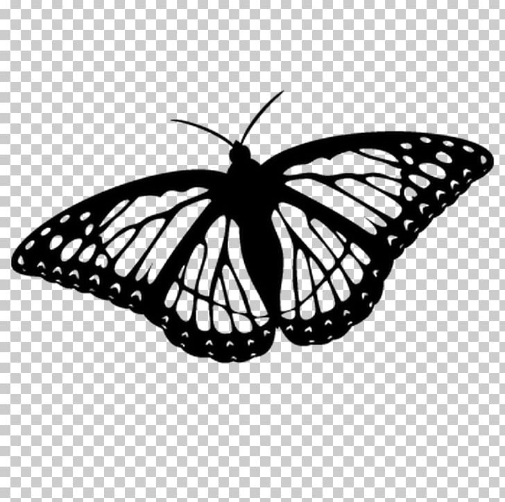 Monarch Butterfly Coloring Book Drawing PNG, Clipart, Arthropod, Biological Life Cycle, Black And White, Brush Footed Butterfly, Butterfly Free PNG Download