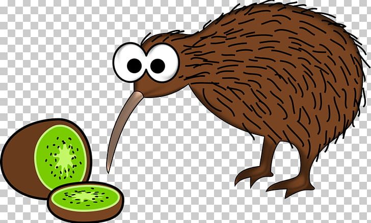 New Zealand Bird Little Spotted Kiwi Common Ostrich PNG, Clipart, Animal Figure, Animals, Beak, Bird, Clothing Free PNG Download