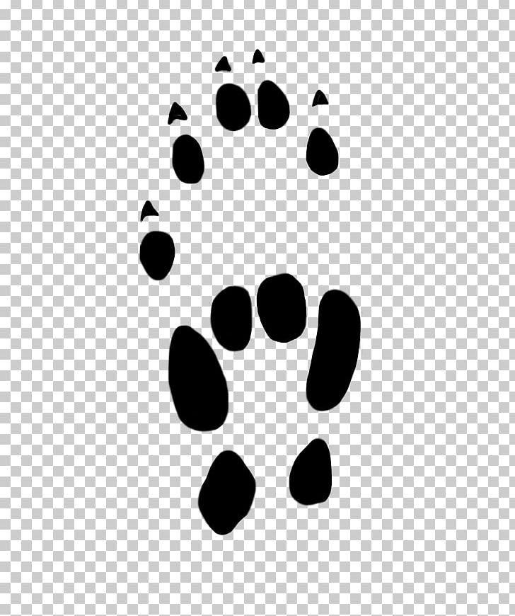 Paw Computer Mouse Cat PNG, Clipart, Animal Track, Black, Black And White, Cat, Circle Free PNG Download