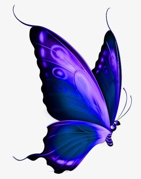 Purple Butterfly PNG, Clipart, Animal, Beautiful, Butterfly, Butterfly Clipart, Butterfly Clipart Free PNG Download