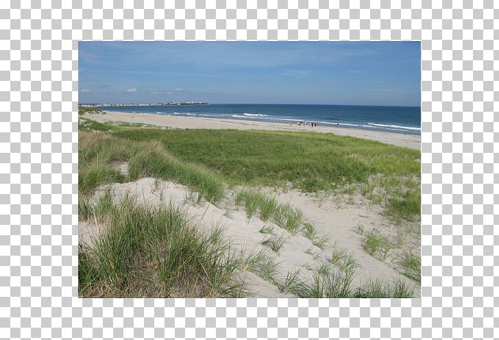 Shore Sea Beach Land Lot Ecoregion PNG, Clipart, Aeolian Landform, Beach, Coast, Coastal And Oceanic Landforms, Dune Free PNG Download
