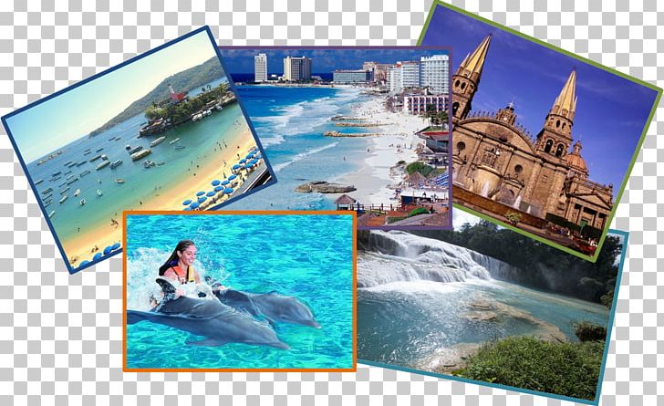 Water Resources Leisure Ecosystem PNG, Clipart, Advertising, Collage, Copy1, Dolphin, Ecosystem Free PNG Download