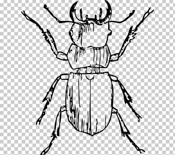 Beetle Black And White PNG, Clipart, Animals, Art, Artwork, Beetle, Black Free PNG Download
