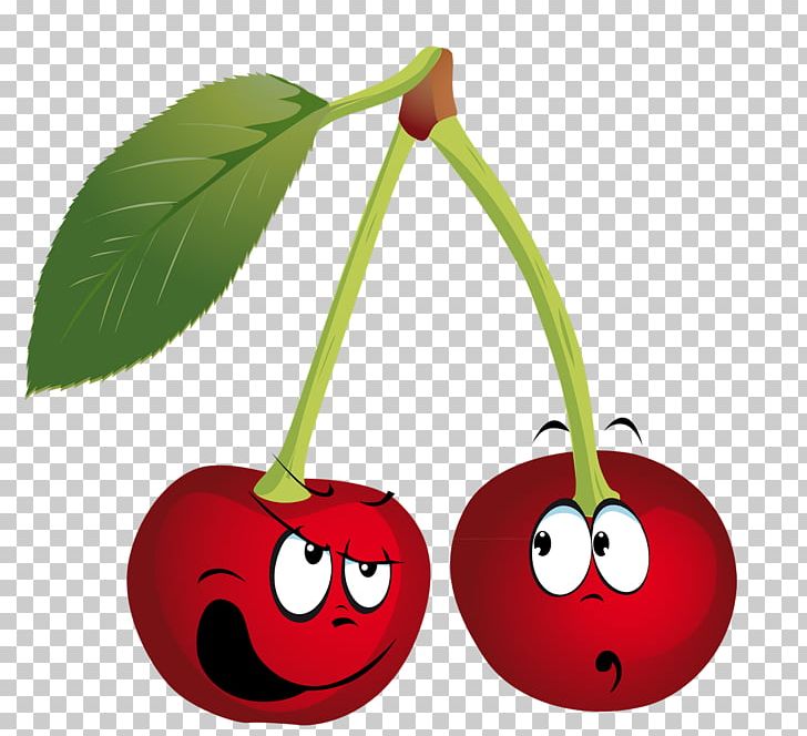 Cherry Fruit PNG, Clipart, Cherry, Desktop Wallpaper, Digital Image, Display Resolution, Dots Per Inch Free PNG Download