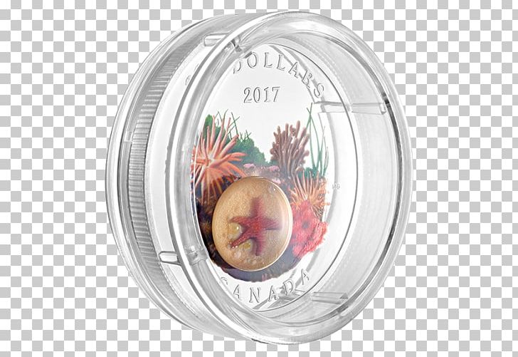 Christmas Ornament Tableware PNG, Clipart, Canadian Money, Christmas, Christmas Ornament, Dishware, Holidays Free PNG Download