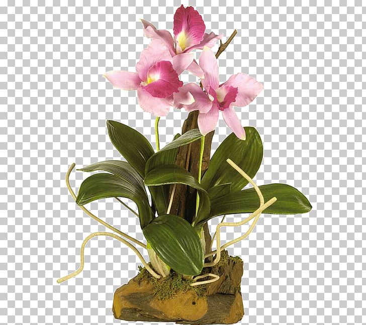 Flower PNG, Clipart, Animation, Artificial Flower, Cattleya, Collage, Cut Flowers Free PNG Download