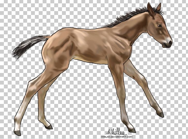 Foal Mare Mustang Colt Stallion PNG, Clipart, Animal, Animal Figure, Colt, Deviantart, Digital Art Free PNG Download