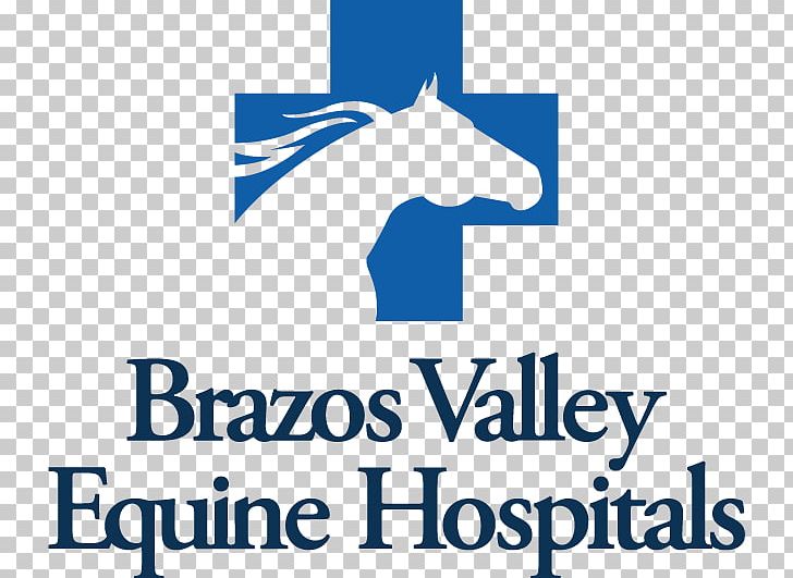 Horse Brazos Valley Equine Hospital Brazos County Mare Veterinarian PNG, Clipart, Animals, Area, Barrel Racing, Brand, Brazos County Free PNG Download