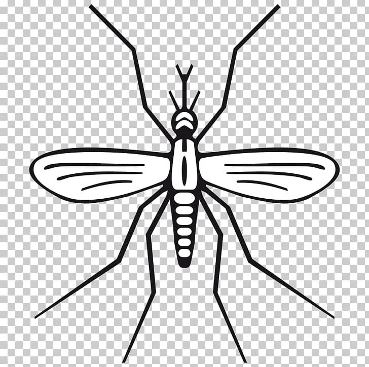 Mosquito Black And White PNG, Clipart, Arthropod, Artwork, Black And White, Bug Zapper, Coloring Book Free PNG Download