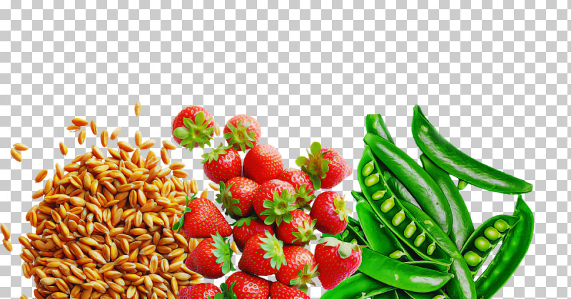Strawberry PNG, Clipart, Fruit, Local Food, Natural Food, Staple Food, Strawberry Free PNG Download