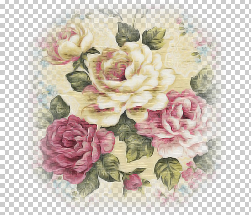 Garden Roses PNG, Clipart, Artificial Flower, Cabbage Rose, Cut Flowers, Floral Design, Flower Free PNG Download