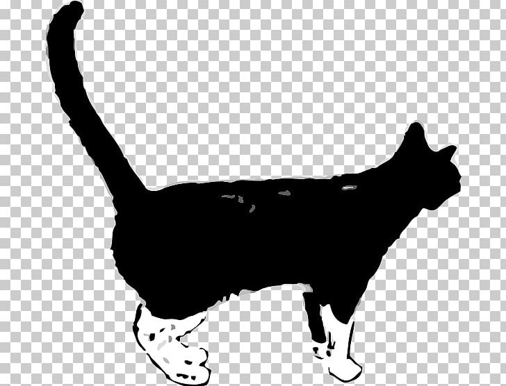 Black Cat Kitten PNG, Clipart, Animals, Black, Black Cat, Carnivoran, Cat Free PNG Download