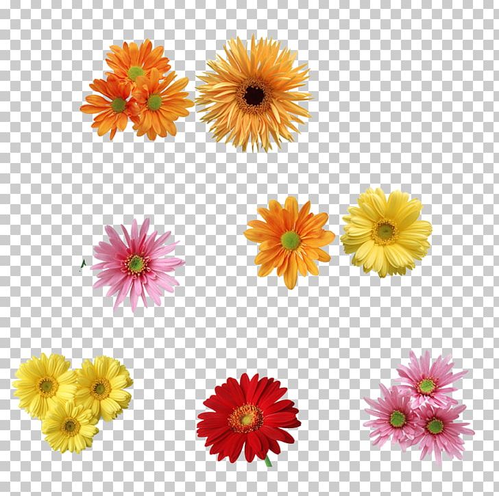 Chrysanthemum Tea Flower PNG, Clipart, Annual Plant, Artificial Flower, Chrysanthemum Chrysanthemum, Chrysanthemums, Dahlia Free PNG Download