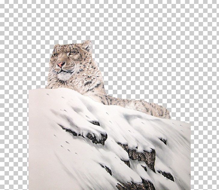 The Snow Leopard Tiger Lion PNG, Clipart, Alpine Overlord, Animal, Animals, Big Cat, Big Cats Free PNG Download
