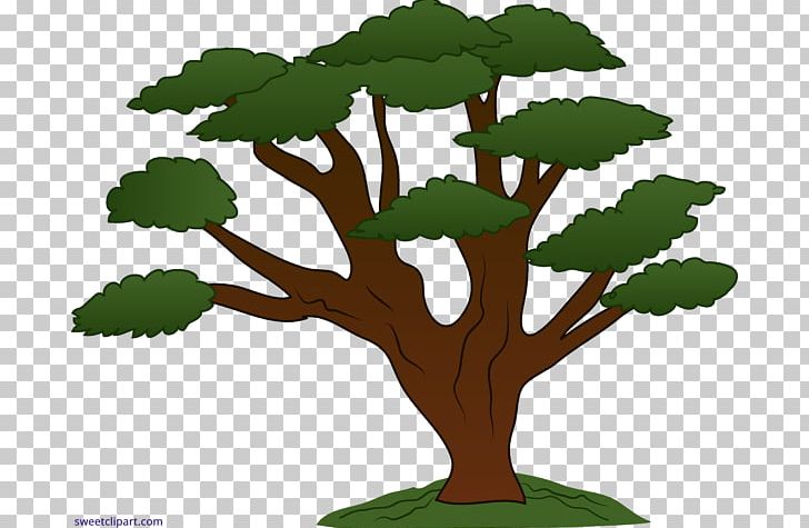 Tree Oak Desktop PNG, Clipart, Branch, Clip, Deciduous, Desktop Wallpaper, Document Free PNG Download