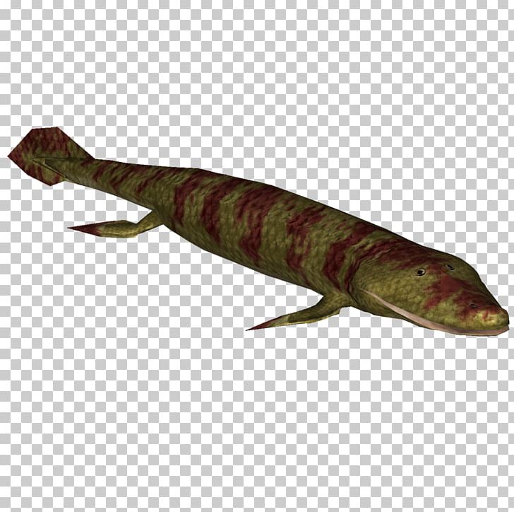 Zoo Tycoon 2 Tiktaalik Roseae Devonian Tetrapods Acanthostega PNG, Clipart, Acanthostega, Animal, Animal Source Foods, Burbot, Devonian Free PNG Download