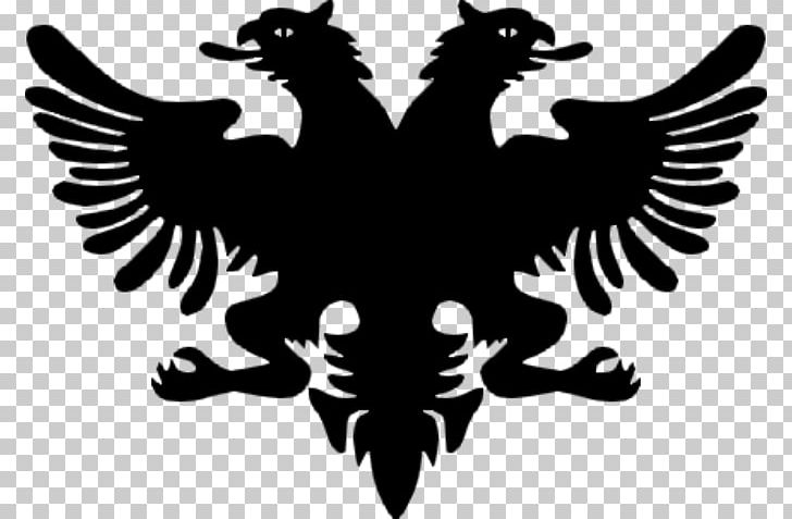 Flag Of Albania Coat Of Arms Of Albania National Flag PNG, Clipart, Albania, Beak, Bird, Bird Of Prey, Black And White Free PNG Download