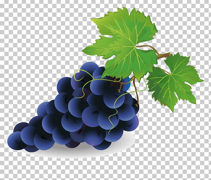 Grape Pie Common Grape Vine Wine PNG, Clipart, Bilberry, Common Grape Vine, Computer Icons, Food, Fruit Free PNG Download