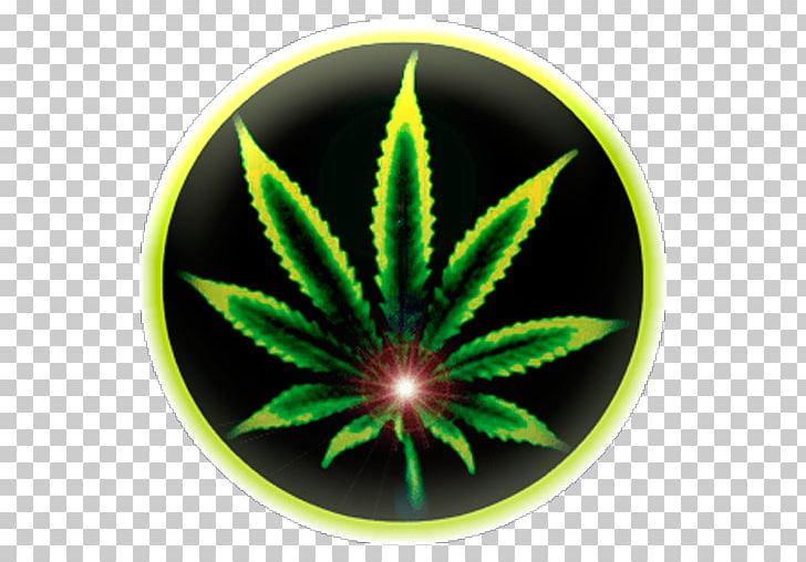 Medical Cannabis Cannabis Smoking Hemp Hash Oil PNG, Clipart, Blunt, Cannabis, Cannabis Smoking, Decriminalization, Desktop Wallpaper Free PNG Download