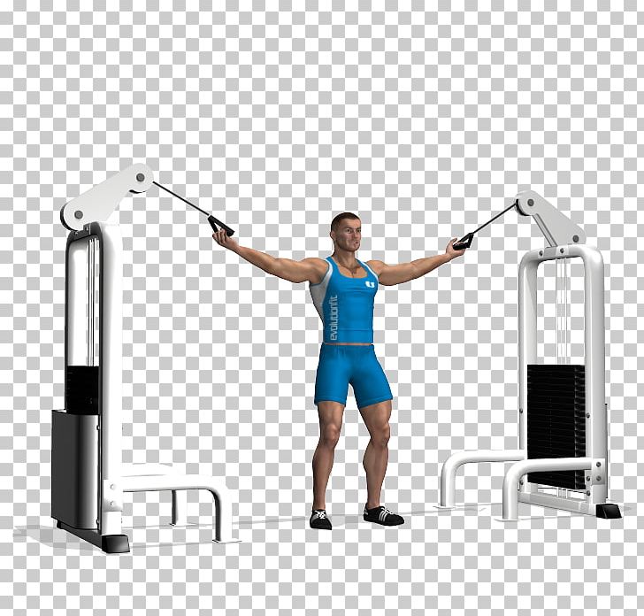 Shoulder Biceps Triceps Brachii Muscle Electrical Cable PNG, Clipart, Abdomen, Arm, Balance, Biceps, Biceps Curl Free PNG Download