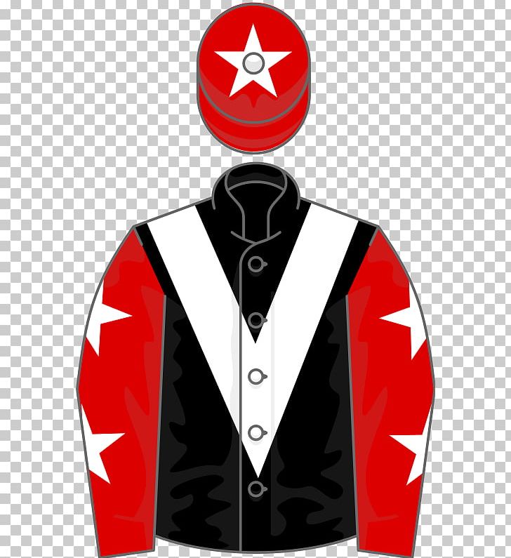 Thoroughbred 2016 Grand National Horse Racing Horse Trainer PNG, Clipart, 2016 Grand National, Balanchine, Brand, Chevron, Formal Wear Free PNG Download