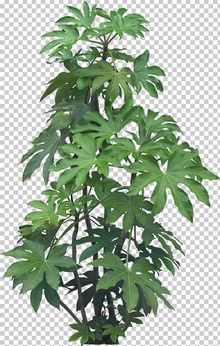 Tree Liuyang Landscape Scanner PNG, Clipart, Flowerpot, Garden, Greening, Herb, Houseplant Free PNG Download