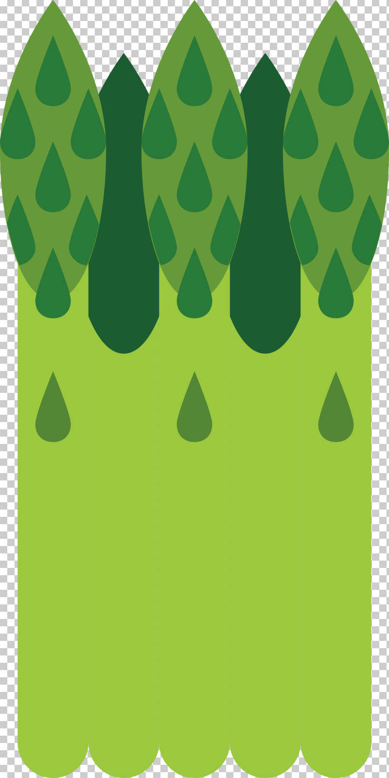 Asparagus PNG, Clipart, Asparagus, Grass, Green, Plant, Polka Dot Free PNG Download