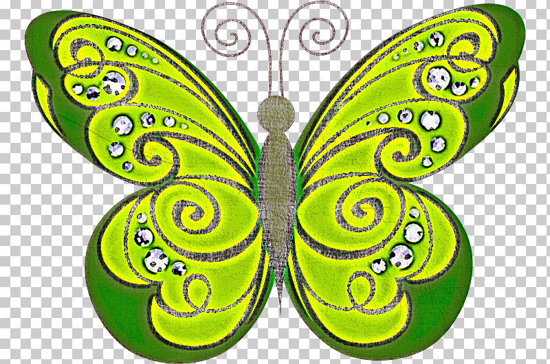 Butterfly Green Insect Moths And Butterflies Wing PNG, Clipart, Butterfly, Emperor Moths, Green, Insect, Moths And Butterflies Free PNG Download