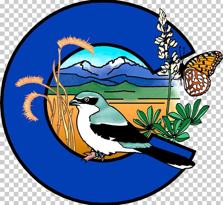 Colorado Natrual Heritage Program Colorado Natural Areas Program Science Pagosa PNG, Clipart, Art, Artwork, Beak, Bird, Colorado Free PNG Download
