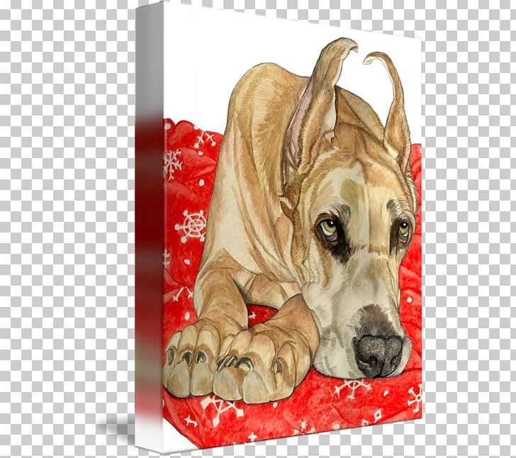 Dog Breed Puppy Great Dane Non-sporting Group Fawn PNG, Clipart, Art, Breed, Canvas, Carnivoran, Dog Free PNG Download