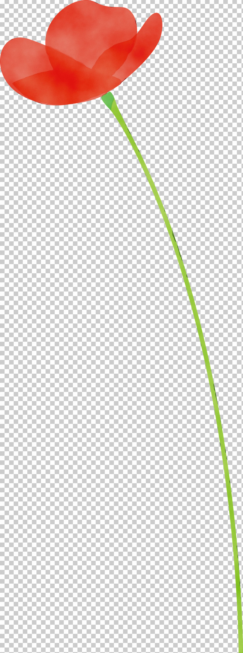 Green Grass Family Plant Grass Line PNG, Clipart, Grass, Grass Family, Green, Line, Paint Free PNG Download