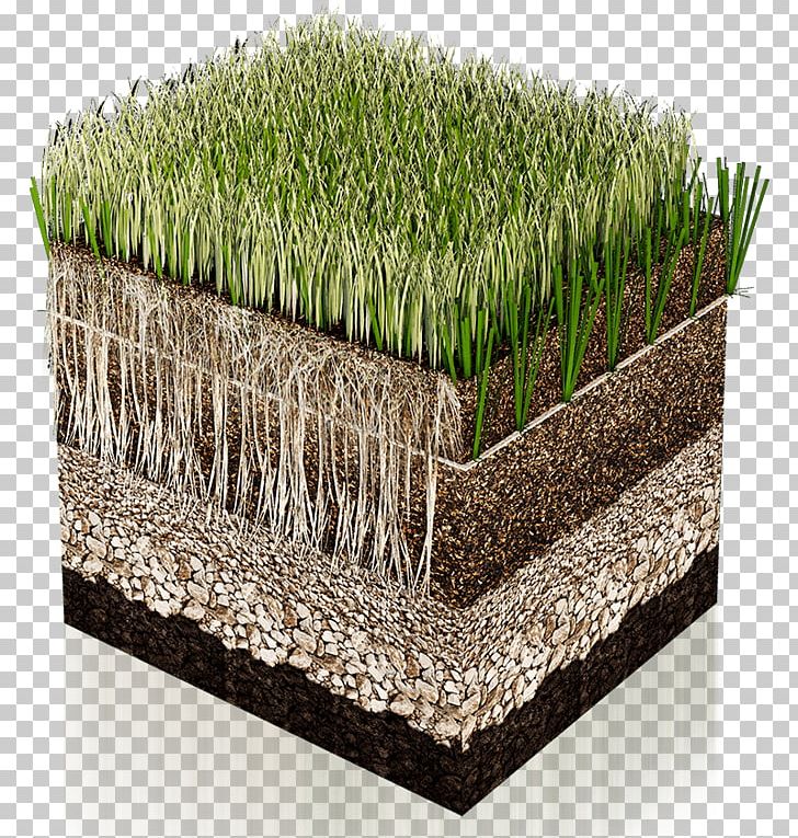 Artificial Turf Lawn Hybrid Grass Carpet Grassland PNG, Clipart, Artificial Turf, Athletics Field, Carpet, Flowerpot, Grass Free PNG Download