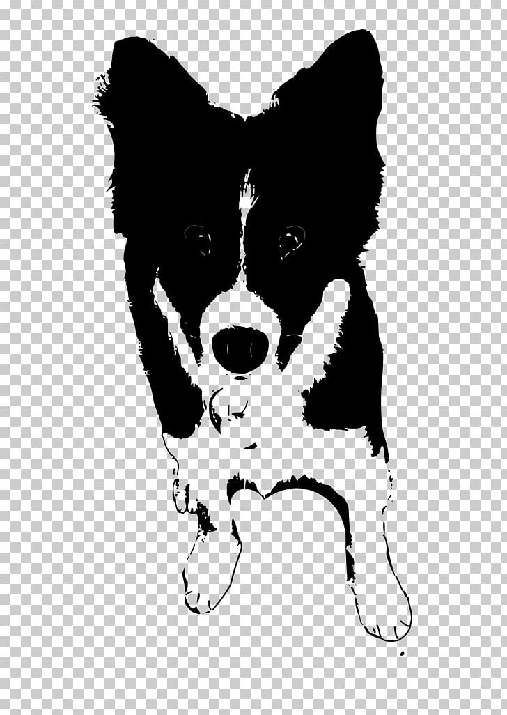 Border Collie Rough Collie Puppy PNG, Clipart, Animals, Art, Black And White, Border Collie, Carnivoran Free PNG Download