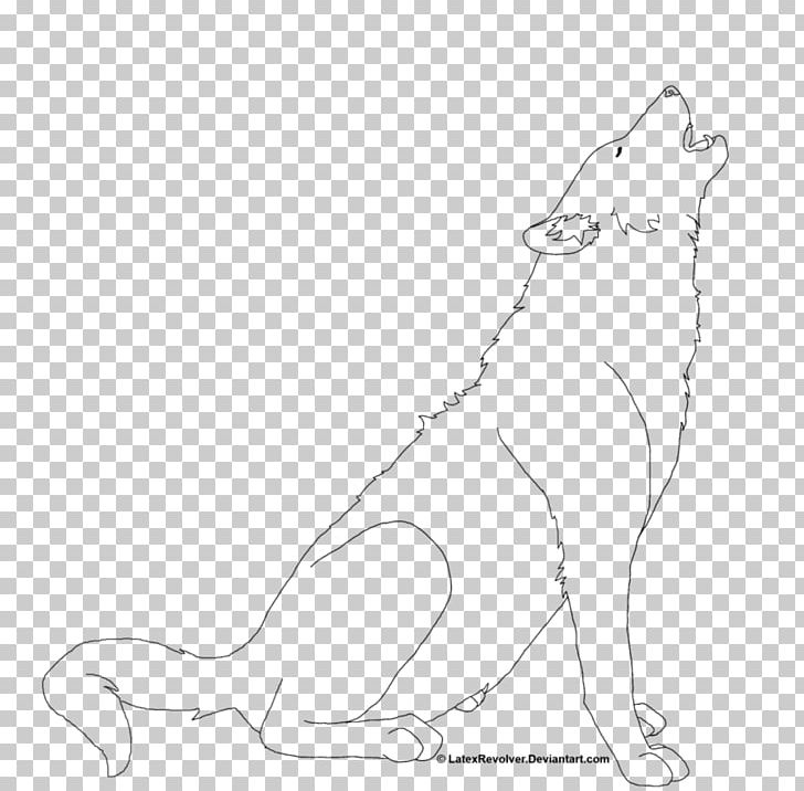 Cat Drawing Mammal Dog Whiskers PNG, Clipart, Animal, Animals, Arm, Art, Big Cats Free PNG Download