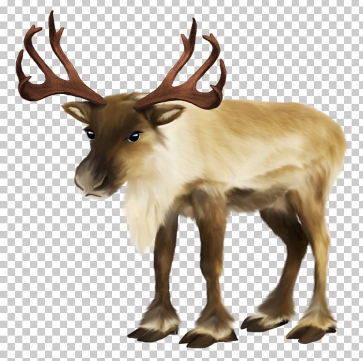 Santa Claus's Reindeer Santa Claus's Reindeer Rudolph Sled PNG, Clipart, Antler, Christmas, Deer, Elk, Gift Free PNG Download