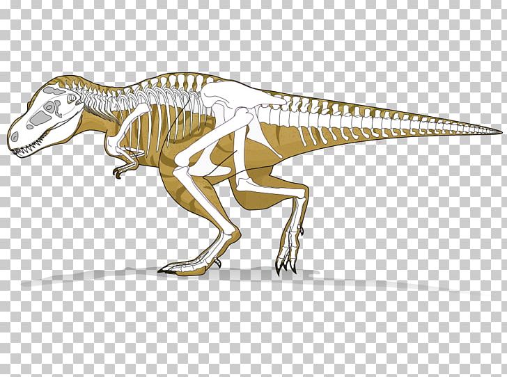 Tyrannosaurus Dinosaur Velociraptor Radiometric Dating Tarbosaurus PNG, Clipart, Animal Figure, Carnivore, Cretaceous, Desktop Wallpaper, Dinosaur Free PNG Download