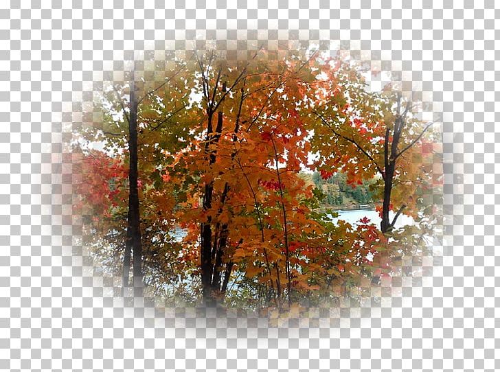 Autumn Landscape Desktop PNG, Clipart, 2017, 2018, Advertising, Autumn, Calendar Free PNG Download