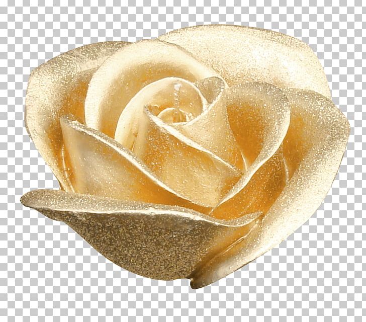 Garden Roses Flower Gold PNG, Clipart, Animation, Beautiful, Beautiful Roses, Beige, Blue Free PNG Download